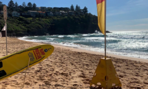 Bilgola Beach North Headland