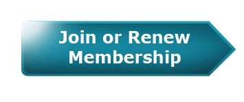 Renew your membership online now - Bilgola SLSC